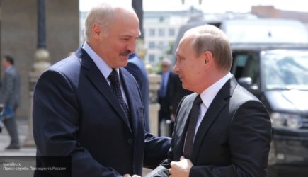 новости