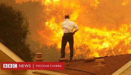новости