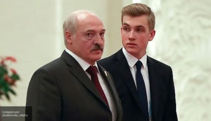новости