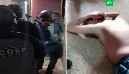 новости