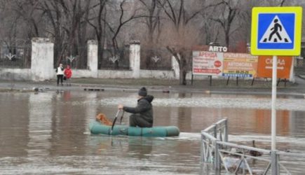 новости