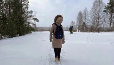 новости