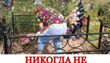 новости