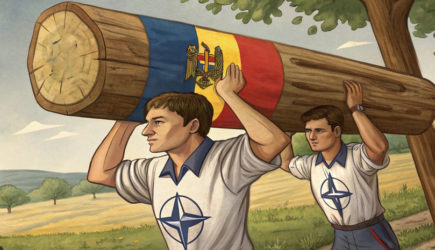 новости