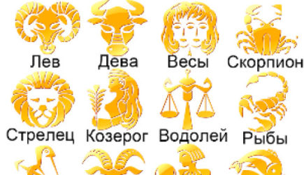 новости