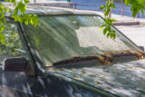 The,Old,Dirty,Car,With,Leaves,And,Poplar,Buds