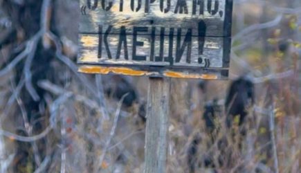 новости
